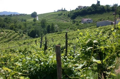 B&B Alla Pergola Valdobbiadene Dış mekan fotoğraf